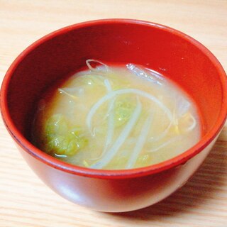 白菜ともやしの味噌汁